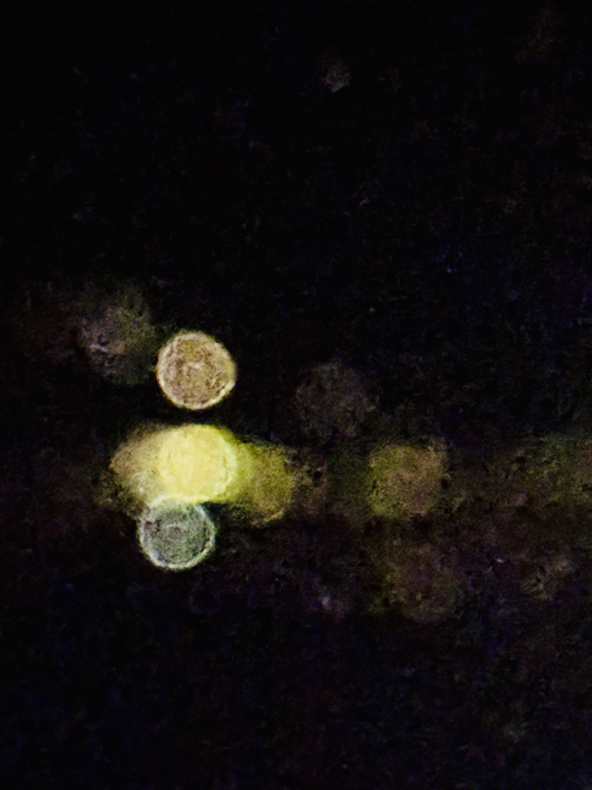 Out of Focus, study 6