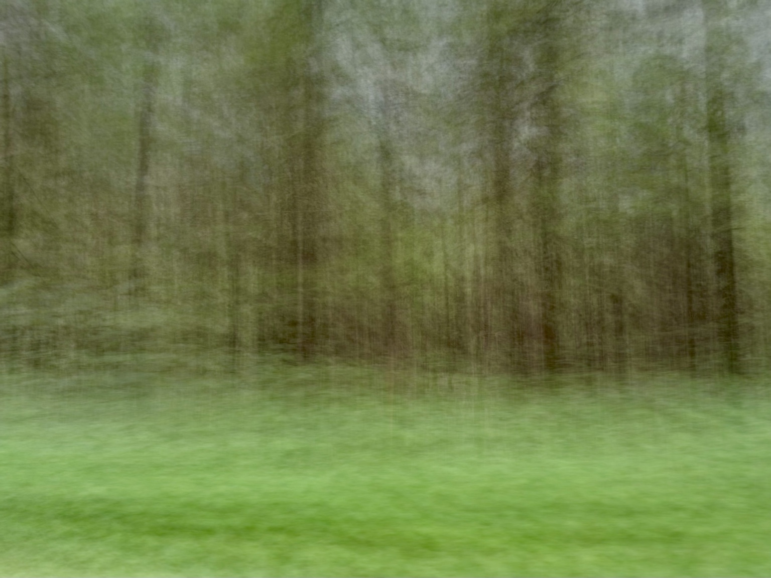 Out of Focus, study 7