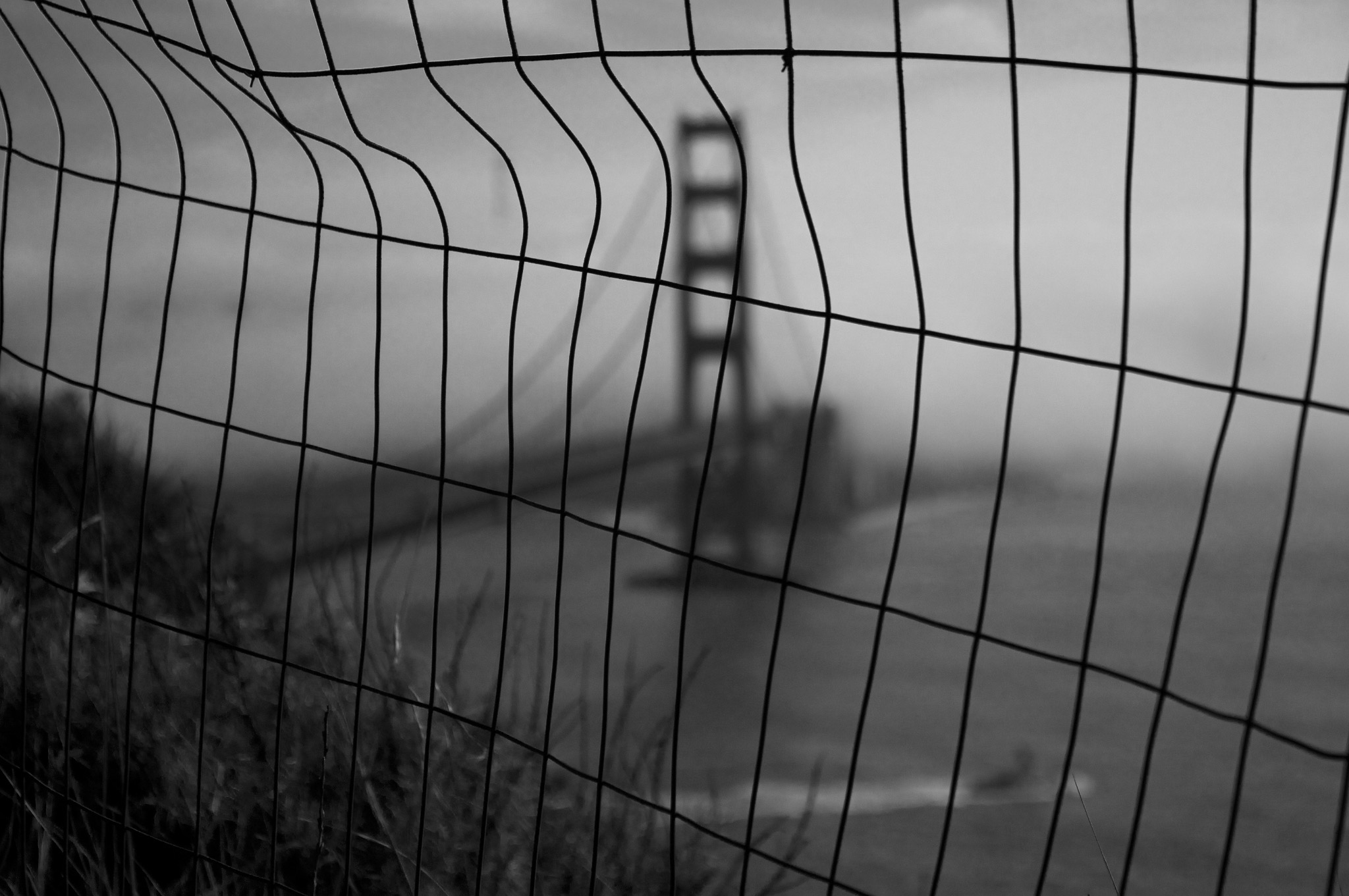 Out of Focus, study 11