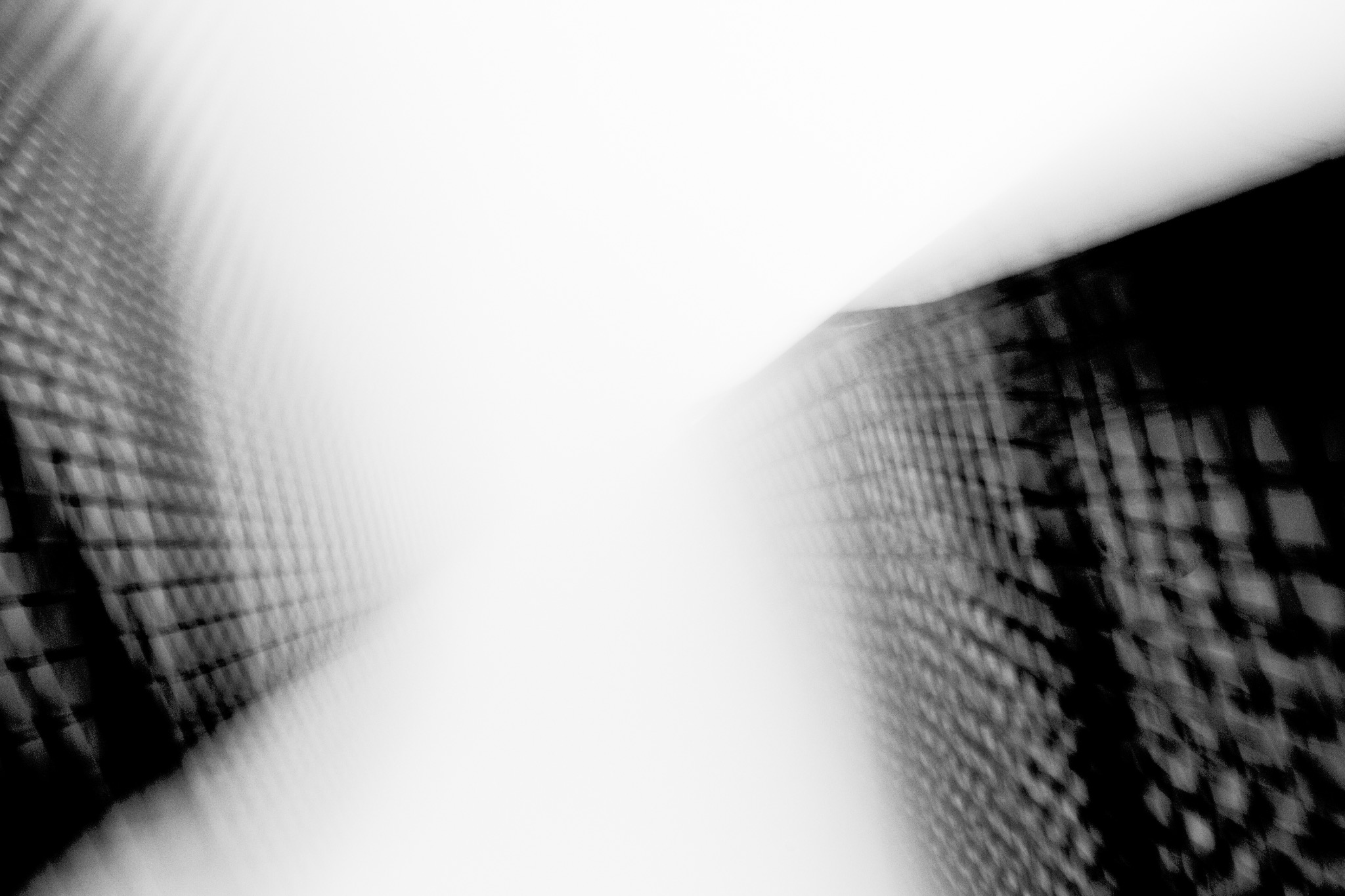 Out of Focus, study 12