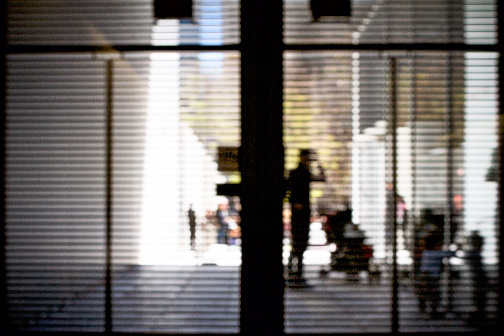Out of Focus, study 13