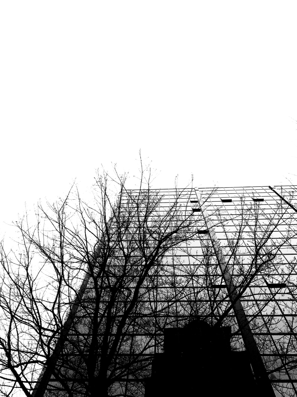 Underlying Geometry, study 11